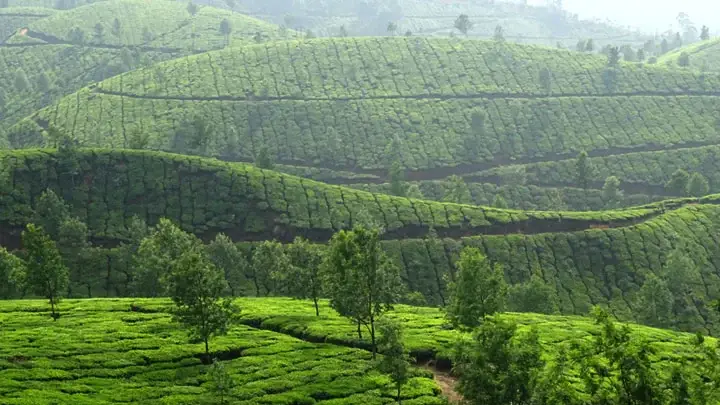 Devikulam / Sita Devi Lake, Idukki
