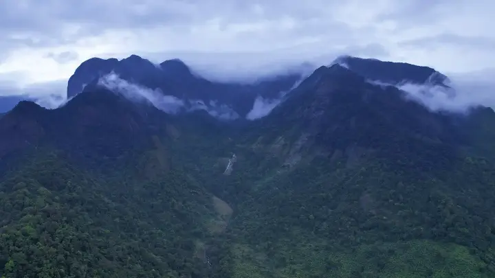 Vellarimala trek, Kozhikode