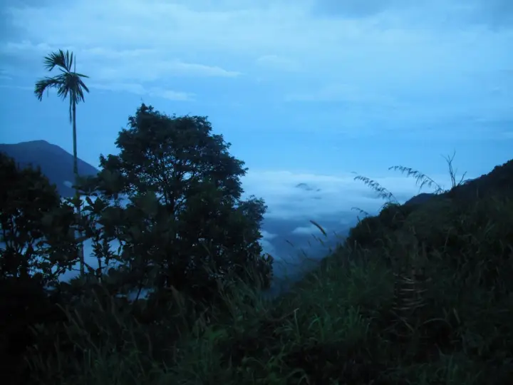 Nadukani Viewpoint, Idukki