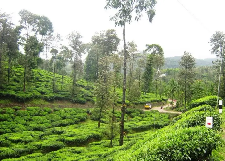 Peermade, Idukki