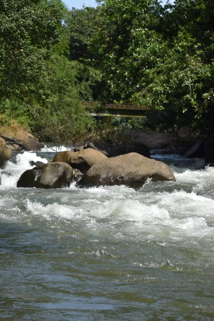 Adyanpara Waterfalls, Malappuram