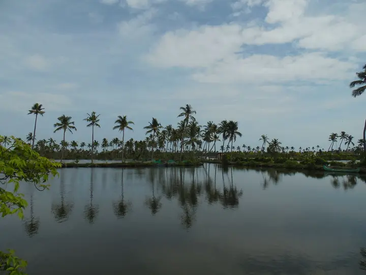 Kumbalangi, Ernakulam