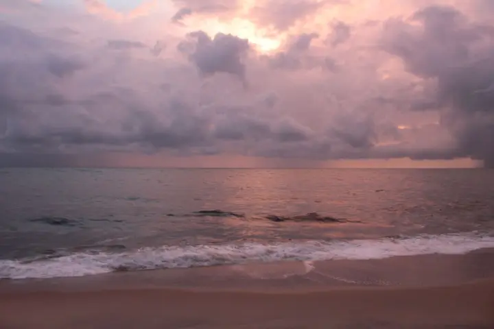 Marari Beach, Alappuzha