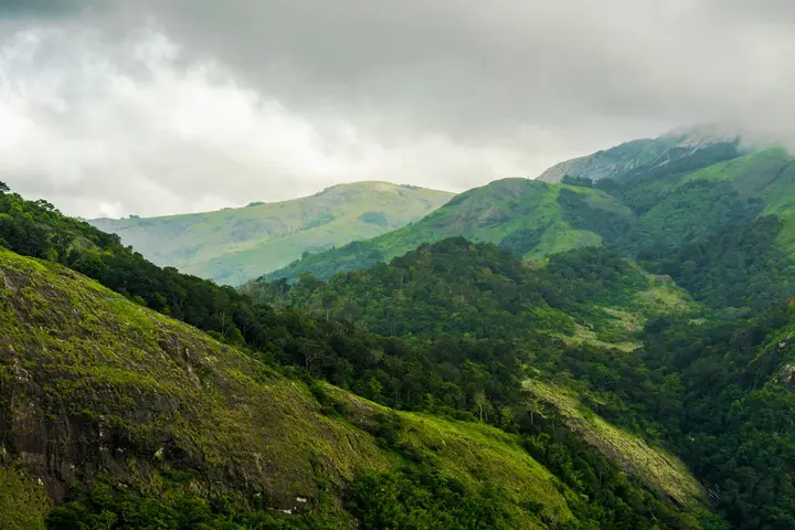 Nelliyampathy, Palakkad