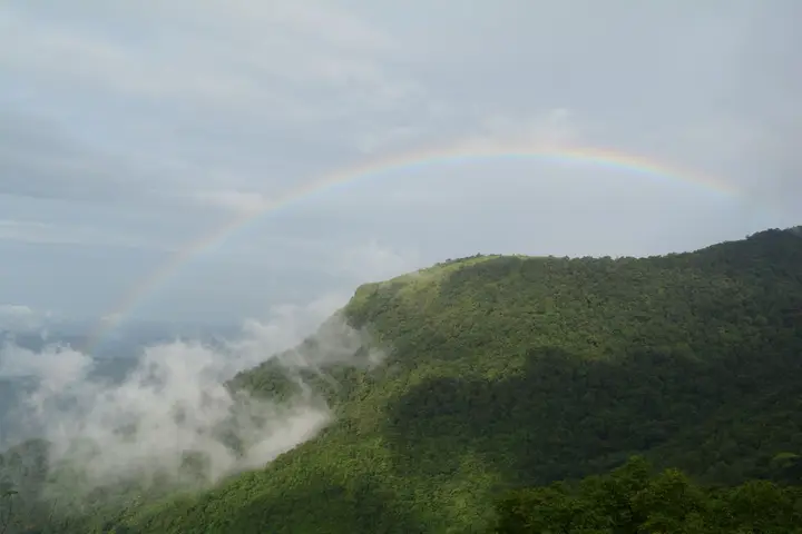 Paithalmala, Kannur