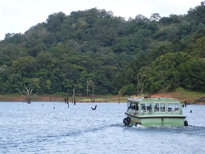Thekkady / Periyar, Idukki