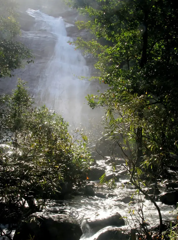 Thusharagiri, Kozhikode