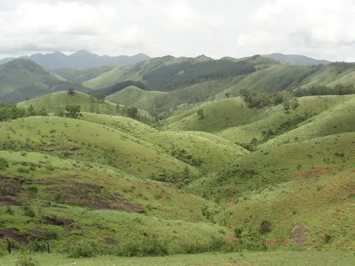 Vagamon meadows, Idukki