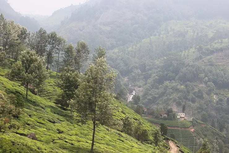 The Muthirapuzha river running through the wooded valley at Pallivasal, seen from the highway above