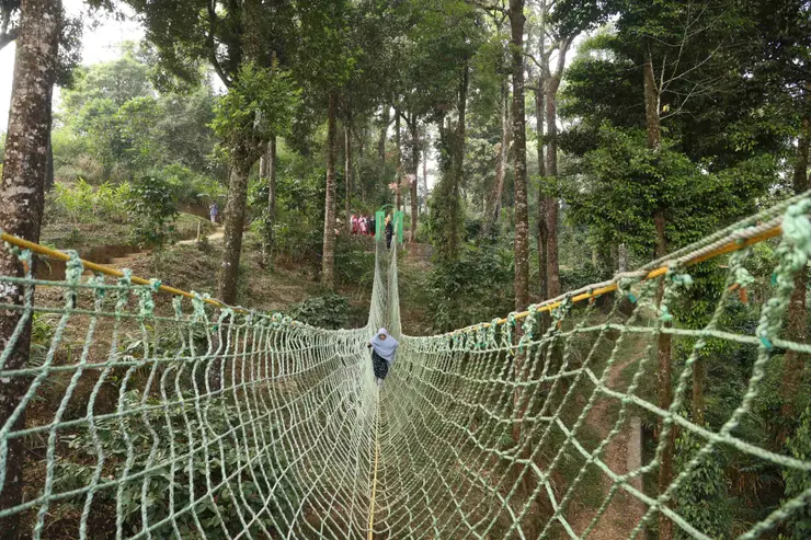 Visitor crossing a narrow net-sided rope bridge between trees at 900 Kandi Eco Park
