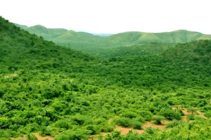 Mapped context for Kappatagudda Wildlife Sanctuary