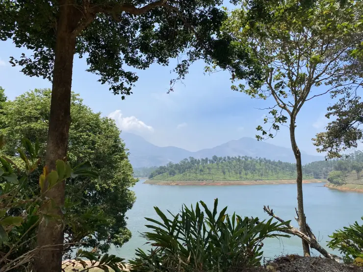Trees frame Anayirankal reservoir, a tea-covered projecting slope and distant mountains.