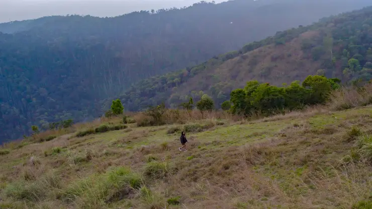 A person on Murikkady’s uneven grassy slope above a wooded valley.