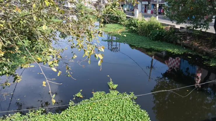 A canal in Alappuzha with a shopfront street running along the bank above it