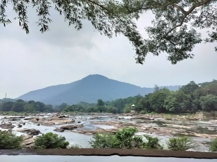 The Chalakudy river at Ezhattumugham