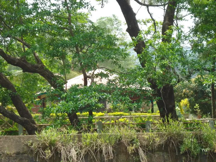 Prakriti Gramam nature village at Ezhattumugham