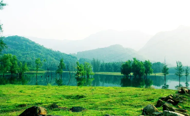 The meadow at Kariyathumpara running down to flat green reservoir water, with bare trees standing half-submerged along the far margin, wooded hills behind in haze and power lines crossing the upper right of the frame.