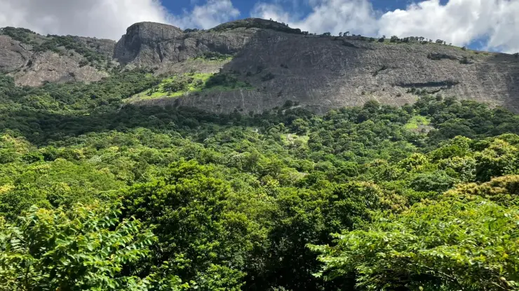 The Palakkad Gap through the Western Ghats