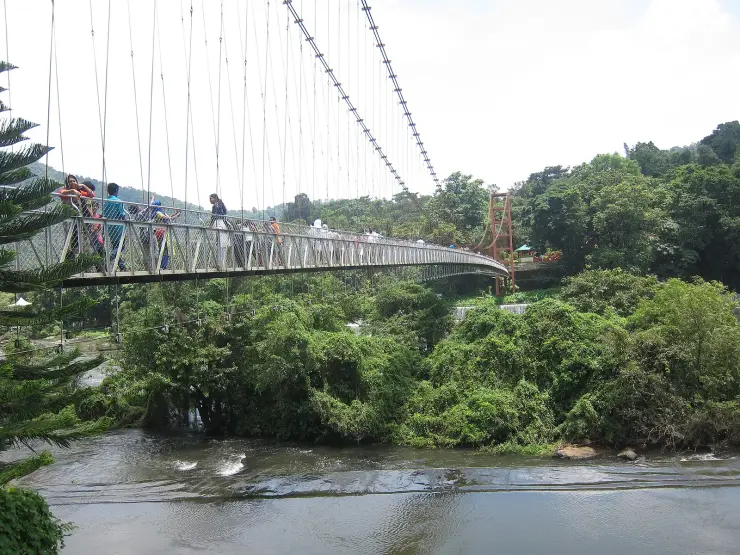 Visitors crossing the Thumboormuzhi–Ezhattumugham suspension footbridge over the Chalakudy river