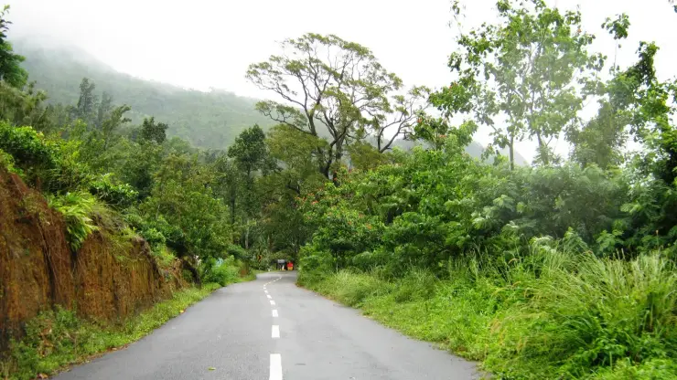 The Ponmudi ghat road climbing between green banks with a cloud-covered forested ridge behind