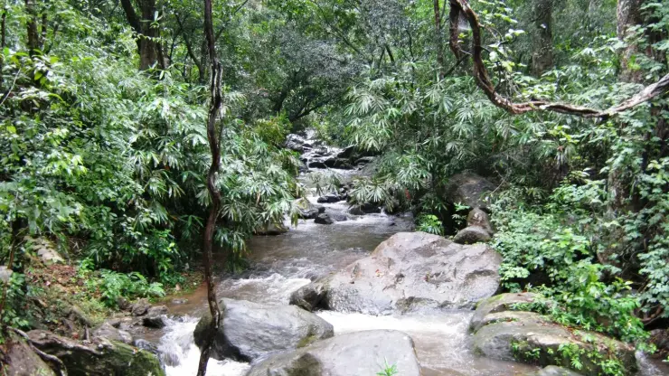 The Meenmutty falls near Ponmudi seen at the end of the forest trail