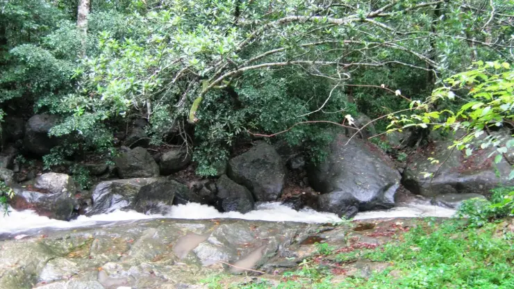Water dropping over rock at the Meenmutty falls near Ponmudi into the pool below
