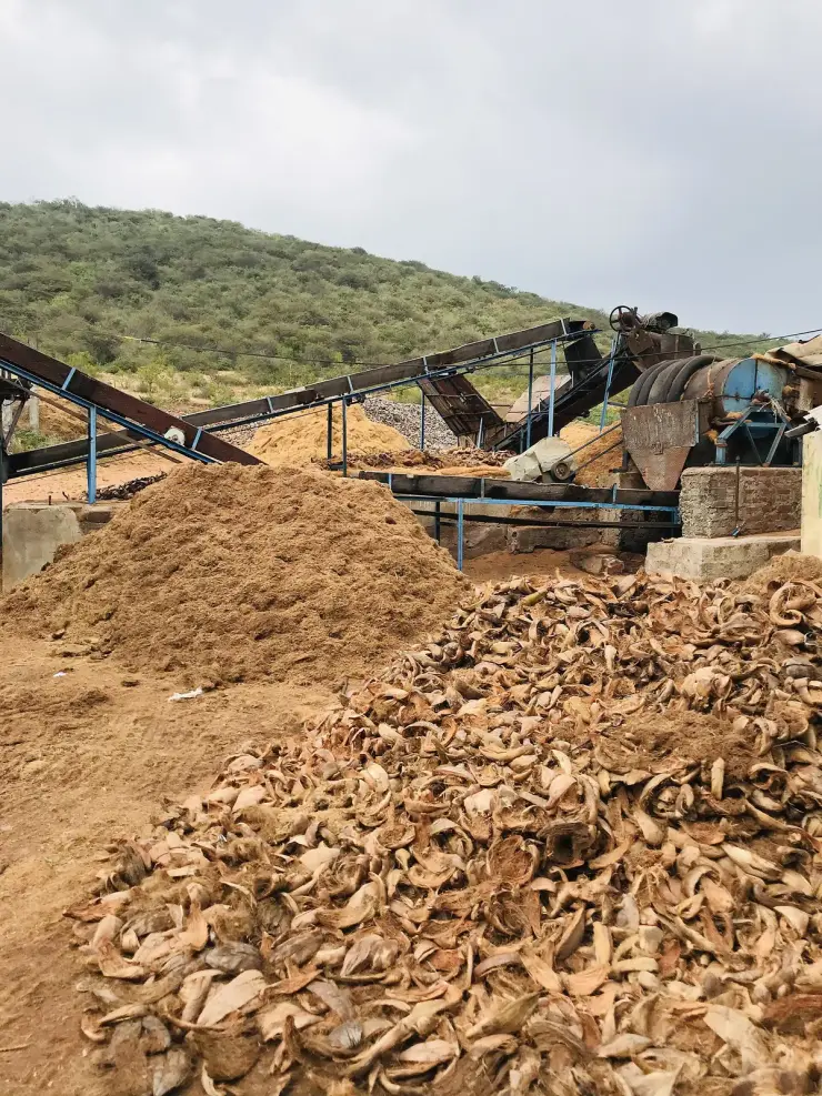 A mechanised coir de-fibering mill in Tamil Nadu: a large heap of dry coconut husks in the foreground, a mound of pale extracted fibre behind it, steel conveyor belts and a crushing drum, on dry scrubby ground below a low hill. No water anywhere in the frame.