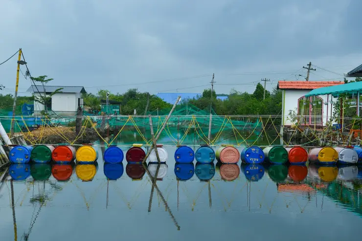A floating footbridge across a canal on Munroe Island, carried on a row of brightly coloured blue, green, red, yellow and white plastic drums strung together with yellow rope, their reflections doubled in the still water, with green fishing nets and village houses behind.