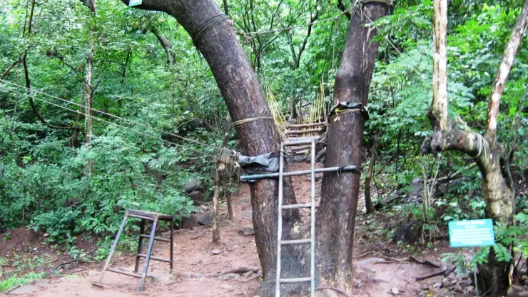 A rope course between two forest trees: a taut cable running out of frame to a whipped rope collar, a ladder against a trunk, a lashed rope-and-timber bridge slung between the trees, a timber A-frame at left and a green interpretive board at bottom right.
