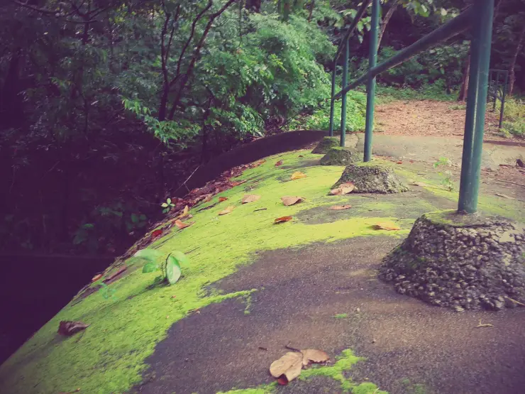 A mossy concrete crossing over an irrigation canal, with green pipe handrails set into stone plinths and fallen leaves on the wet surface.