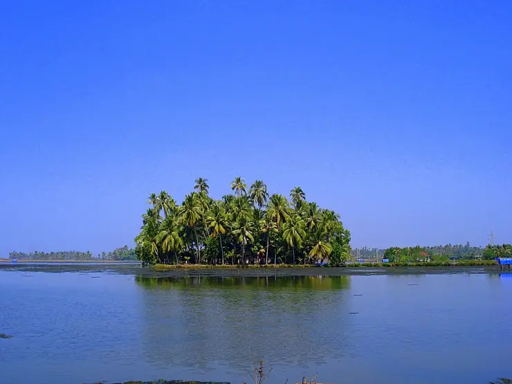 The backwater village of Kumbalangi near Kochi
