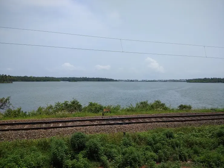 Paravur Kayal, the backwater lake behind the coastal ridge at Paravur, with palm-lined banks.