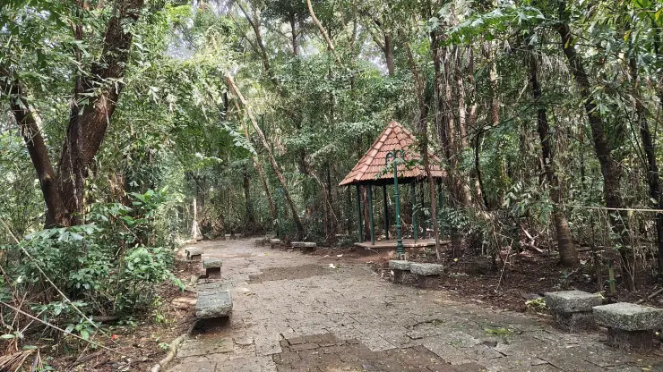 A small pavilion with a tiled pyramidal roof on green iron columns, standing in dense forest at Sarovaram Bio Park, with rough stone benches beside a stone-slab path.