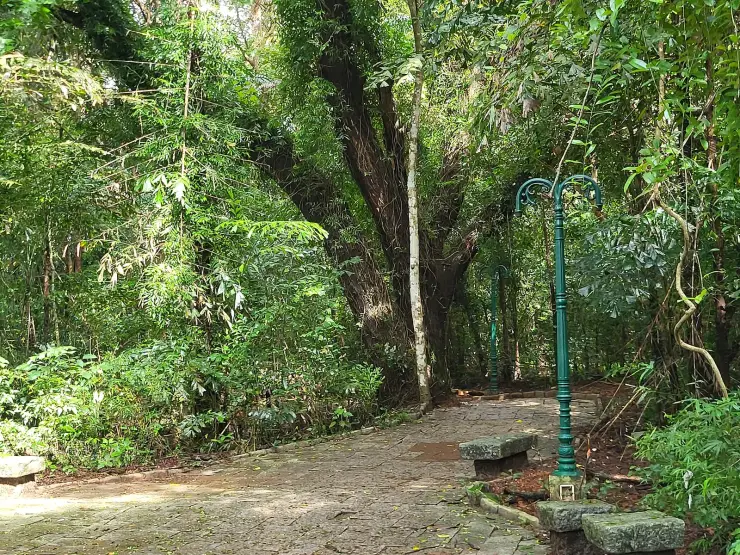 A stone-slab path curving through dense forest at Sarovaram Bio Park, with two ornate green cast-iron lamp standards and rough stone benches beside it.