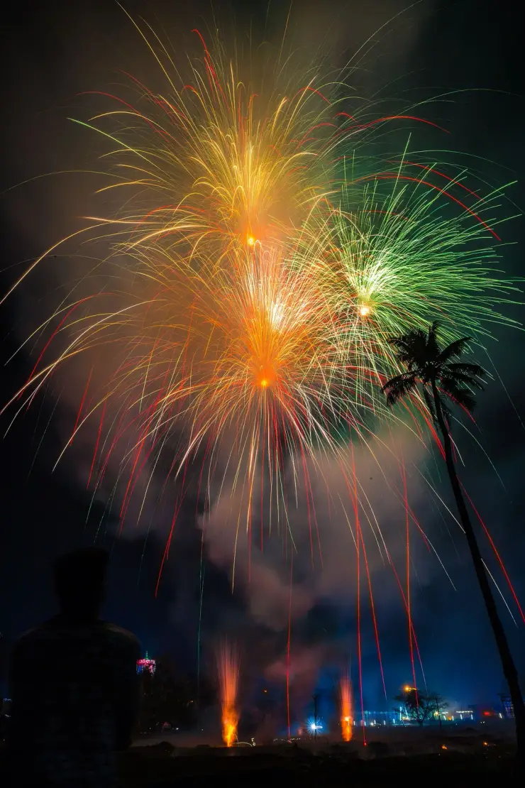 Fireworks bursting over coconut palms during the ambu perunnal at Chalakkudy