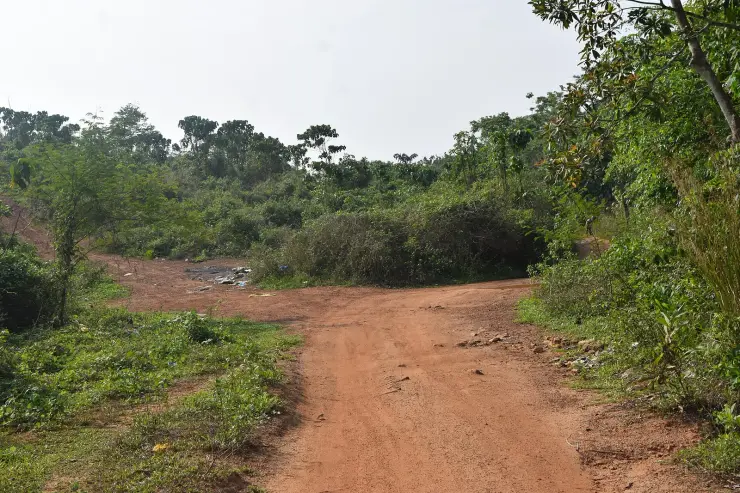 A wide red laterite track curving between scrub and low trees, with scattered plastic litter dumped on the left-hand verge