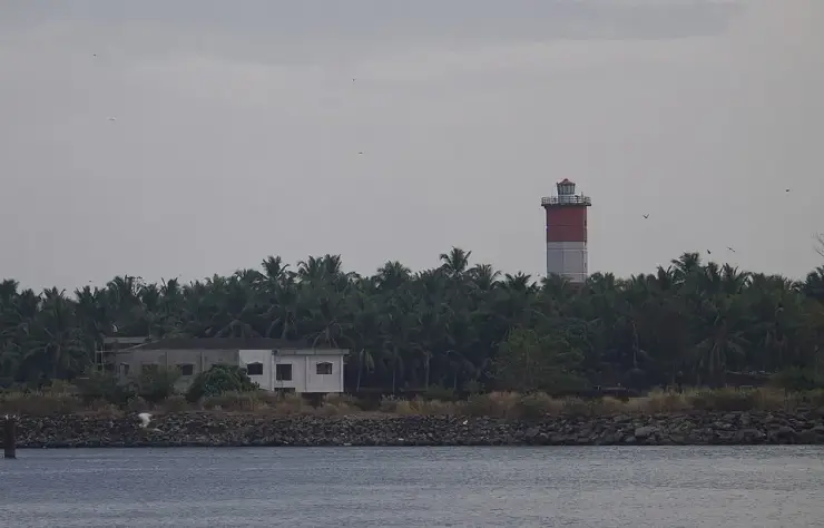 The red-and-white banded Chaliyam lighthouse rising above a dense line of coconut palms on the far bank of the Chaliyar, seen across the water from the Beypore breakwater, with a rubble revetment along the shore.