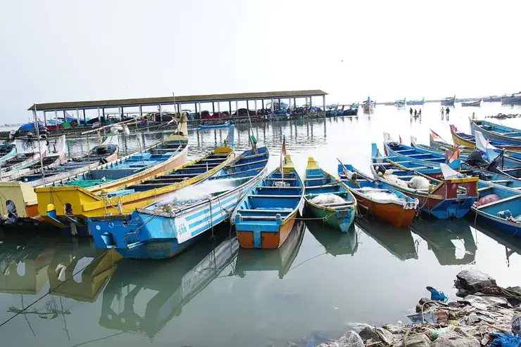 Wooden fishing boats in bright blue, yellow and green moored close together in the calm water of Koyilandy harbour, with a long roofed auction shed and a breakwater in the distance.