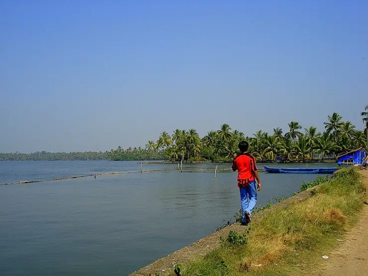 Waterfront houses at Kumbalangi village, Kochi