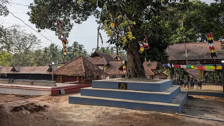 The precinct at Lokanarkavu Temple near Vadakara, with tiled shrine roofs, festival decorations and the sacred tree on its raised plinth