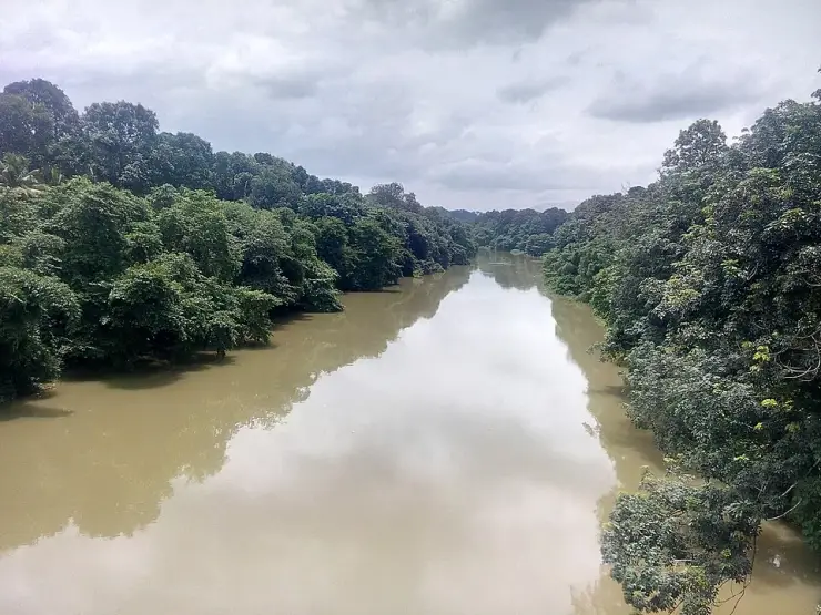 Planning Bharananganam: a shrine, a feast week, and a village that fills