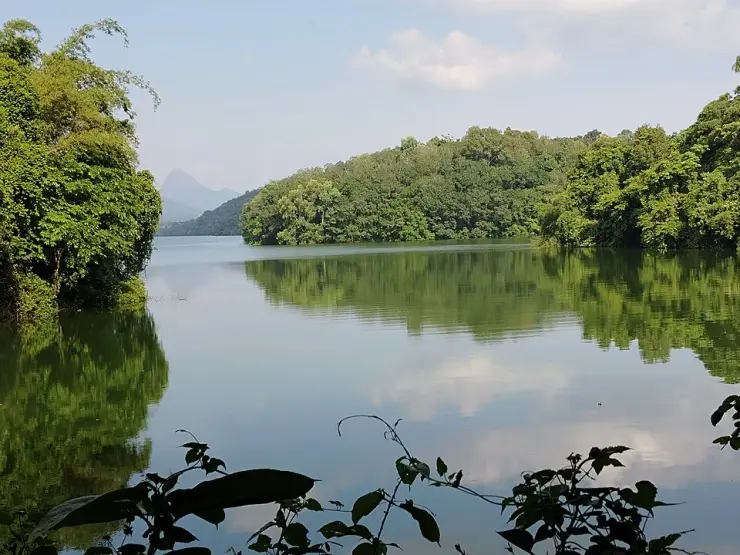 Still water on the Neyyar reservoir reflecting forested banks, with a distant peak visible through a gap in the hills