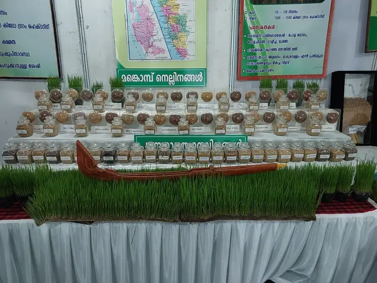 A display of Mankombu rice varieties in labelled jars with a map of Kuttanad and a model snake boat