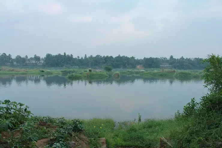 The Periyar river at Chengal, Kalady, Ernakulam