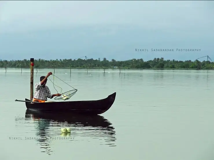 A man fishing with a small hand net from a country canoe on Vembanad Lake, with stake lines and Chinese nets on the far shore