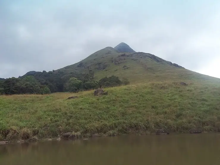 Grassland ridge on Chembra Peak, Wayanad