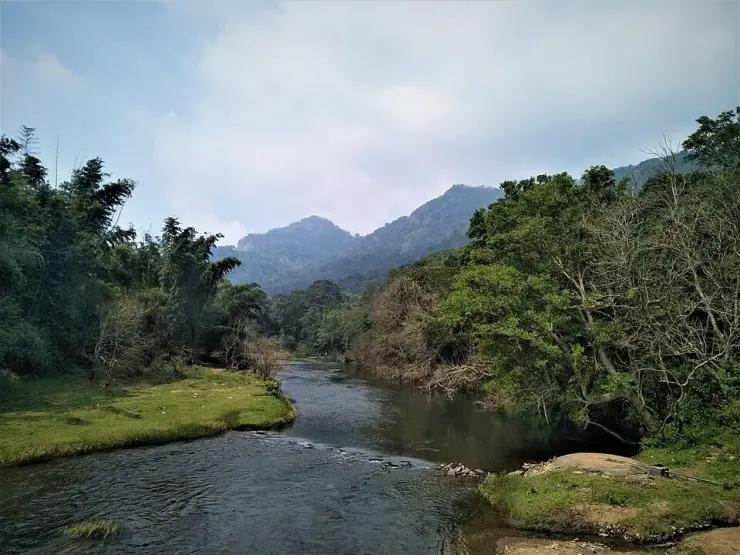The Bhavani river between wooded hills in Attappady