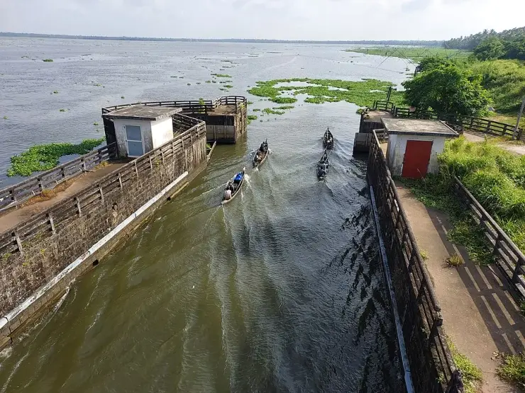 Country canoes moving through the open navigation channel of the Thanneermukkom bund, with water hyacinth and Chinese fishing nets on the lake beyond