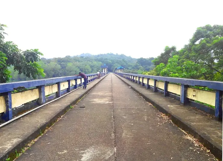 Forested ridges dropping to the shoreline of the Peppara reservoir