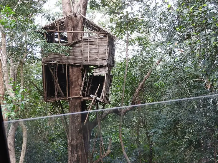 A bamboo and timber tree hut built high in a tree in the Peppara Wildlife Sanctuary